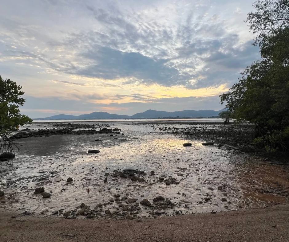 Приливы и отливы на Пхукете: что нужно знать туристам